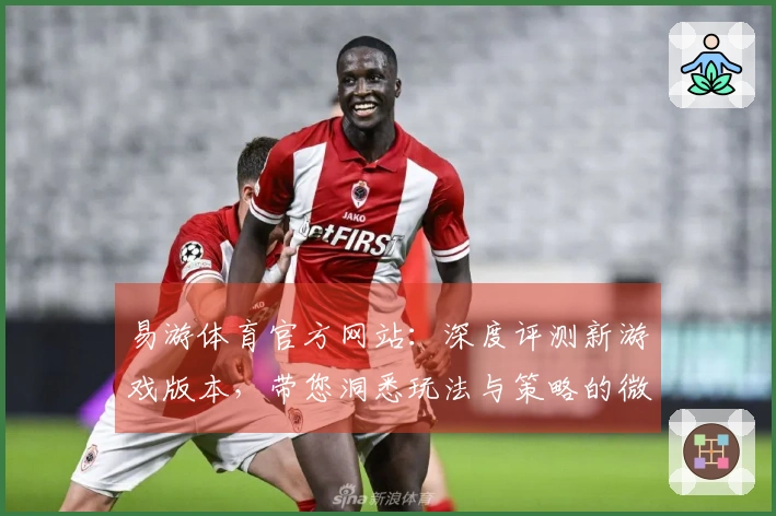 易游体育官方网站：深度评测新游戏版本，带您洞悉玩法与策略的微妙变化